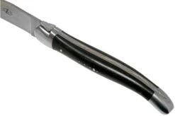 Forge De Laguiole, LAT22MINEB, 2-piece Steak Knife Set Matte, Ebony Wood -Kitchen Knives Store LAT22MINEB 05 forge de laguiole