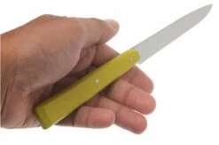 Opinel T001533, Steak Knife Set, Esprit Campagne -Kitchen Knives Store OPT001533 04 opinel tafelmesset esprit campagne opt001533 d4