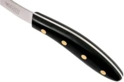 Robert Herder Edwin Vinke's Special Sturdy Fillet Knife 21 Cm POM -Kitchen Knives Store RH1213 210 65 0005 05 robert herder vinke rh1213 210 65 0005 05