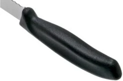 Victorinox SwissClassic 6.8633.21G Bread Knife Black 21 Cm 8 Victorinox SwissClassic 6.8633.21G Bread Knife Black 21 Cm -Kitchen Knives Store VT6 8633 21G 04 victorinox