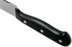 Wüsthof Gourmet Bread Knife 23 Cm, 1025045723 -Kitchen Knives Store WU1025045723 05 wusthof v202102