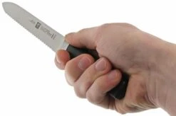 Zwilling 31070-130 Four Star Sausage Knife -Kitchen Knives Store ZW31070 130 05 zwilling four star zw31070 130 05